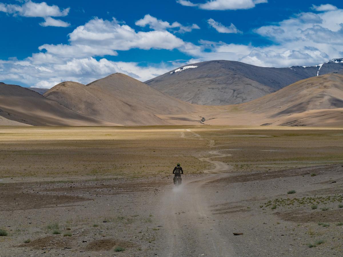 A rider on a Royal Enfield Himalayan 450 in Ladakh's landscape